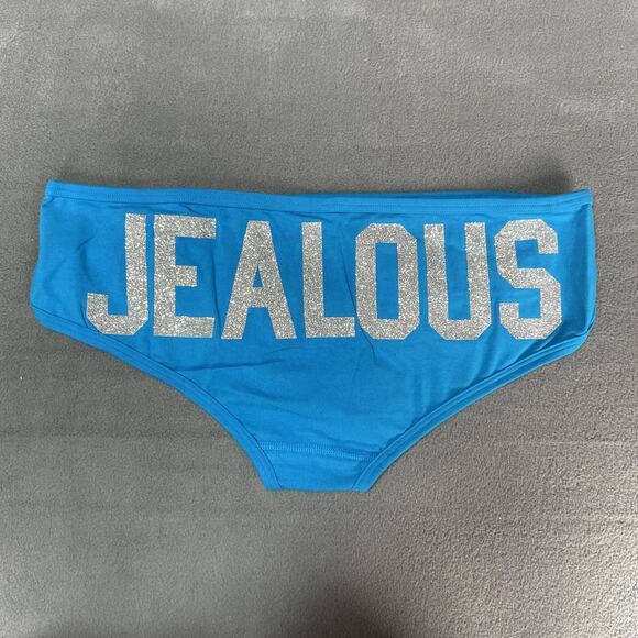 Victoria's Secret PINK 2011 Extra Low Rise Hipster Blue Jealous Panty Medium - Picture 1 of 8